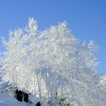 2月のイベント情報UP